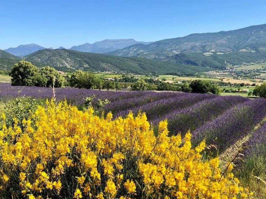 Gite Confortable Village Medieval Sainte-Jalle Baronnies Provencales المظهر الخارجي الصورة